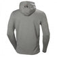 Džemperis Helly Hansen Chelsea Evo, Pilkas